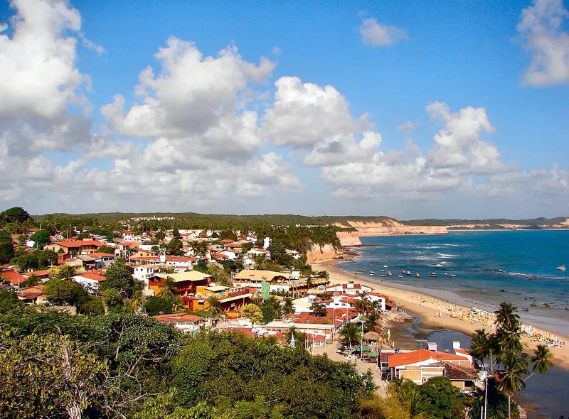 Ilustração da notícia: Botos-cinza da Baía dos Golfinhos, em Pipa, têm 30 comportamentos catalogados