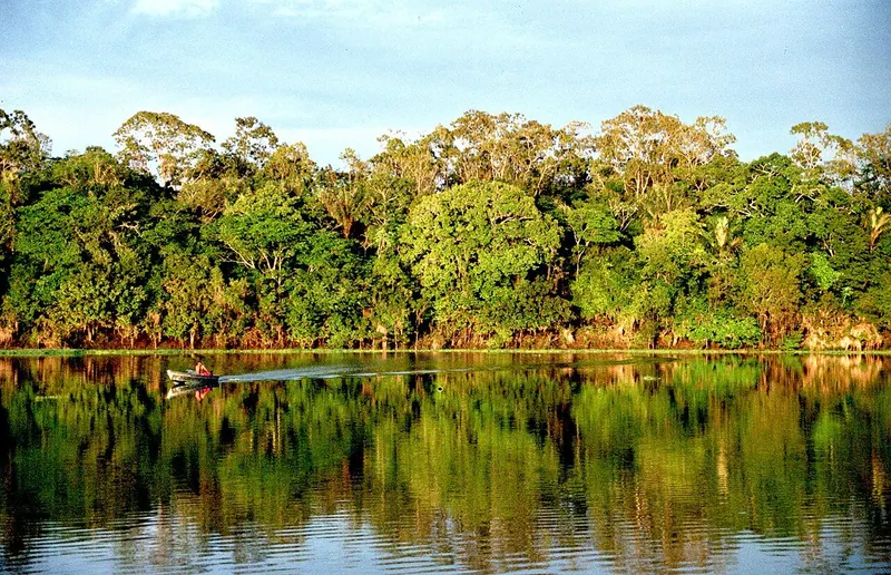 Ilustração da notícia: Fogo supera o desmatamento como fonte de carbono na Amazônia, mostra estudo