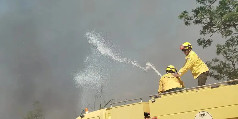 Ilustração da notícia: Bombeiros e Ibama contêm incêndio em área de Cerrado no Centro Olímpico da UnB
