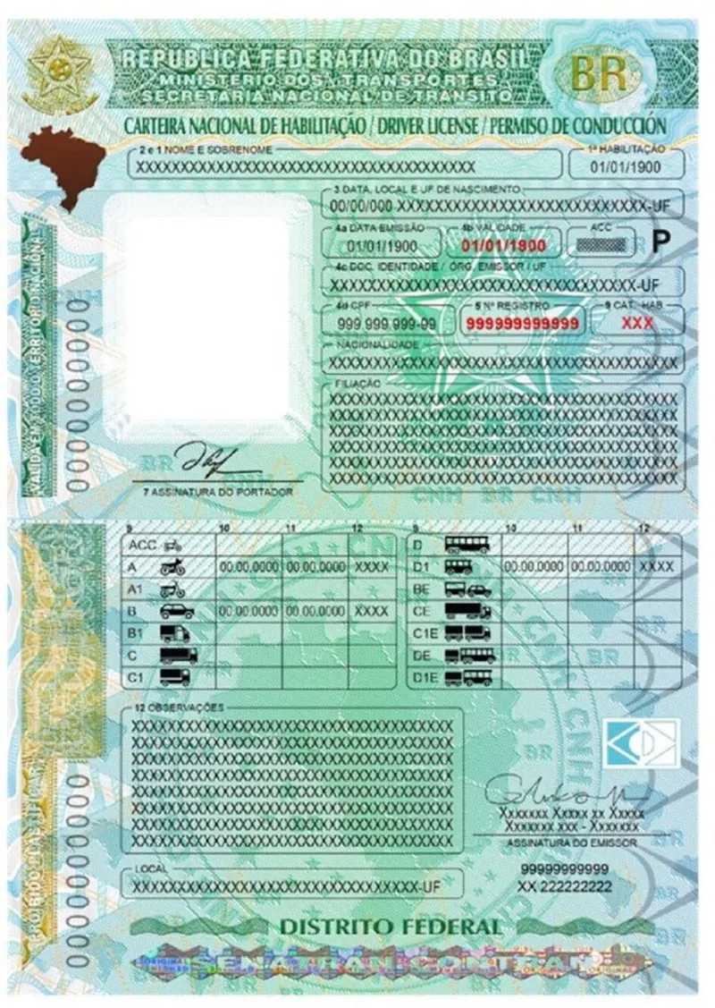 Ilustração da notícia: SP emite 59 mil CNHs internacionais em 8 meses, mais que em todo 2025