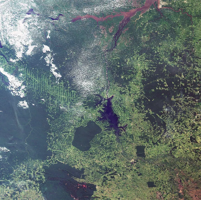 Ilustração da notícia: Ibama e MMA reforçam combate ao fogo no Amazonas: 229 incêndios apagados e 20 ativos