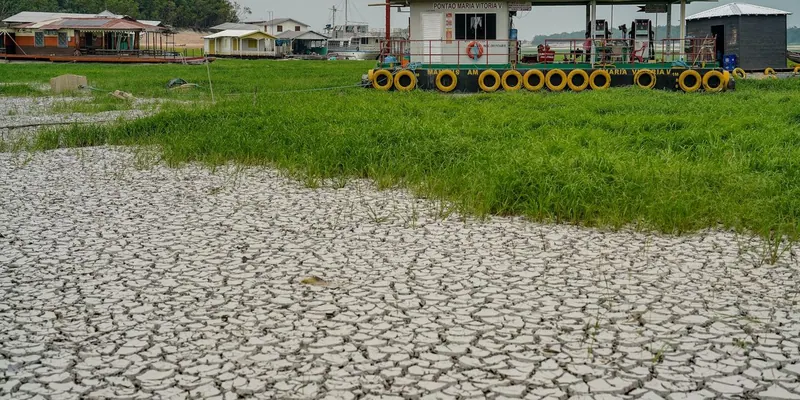 Ilustração da notícia: Rede monta pontos de coleta para ribeirinhos atingidos pela estiagem no Amazonas