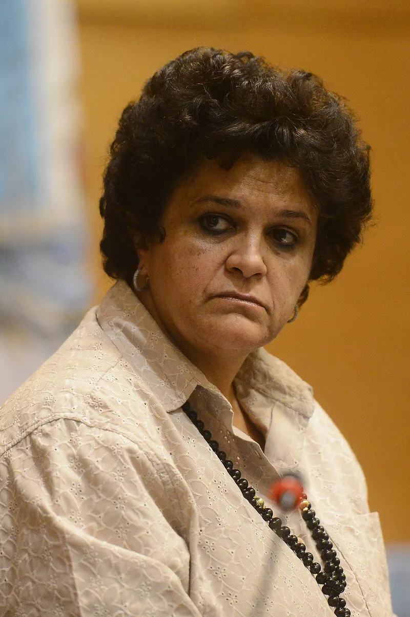 Ilustração da notícia: Desmatamento zero até 2030 pode ampliar competitividade, diz Izabella Teixeira
